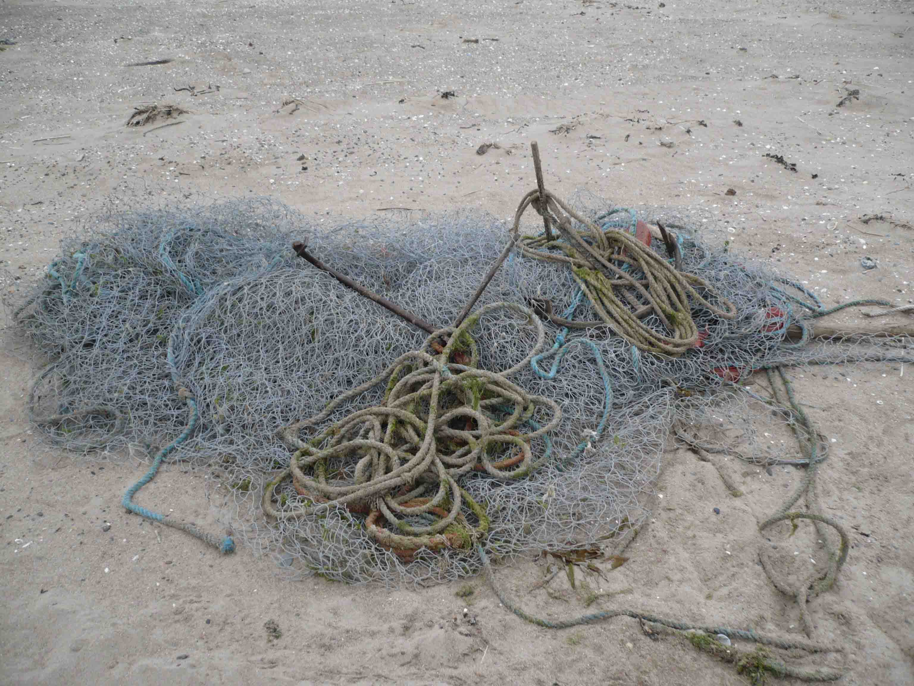 Beach Nets