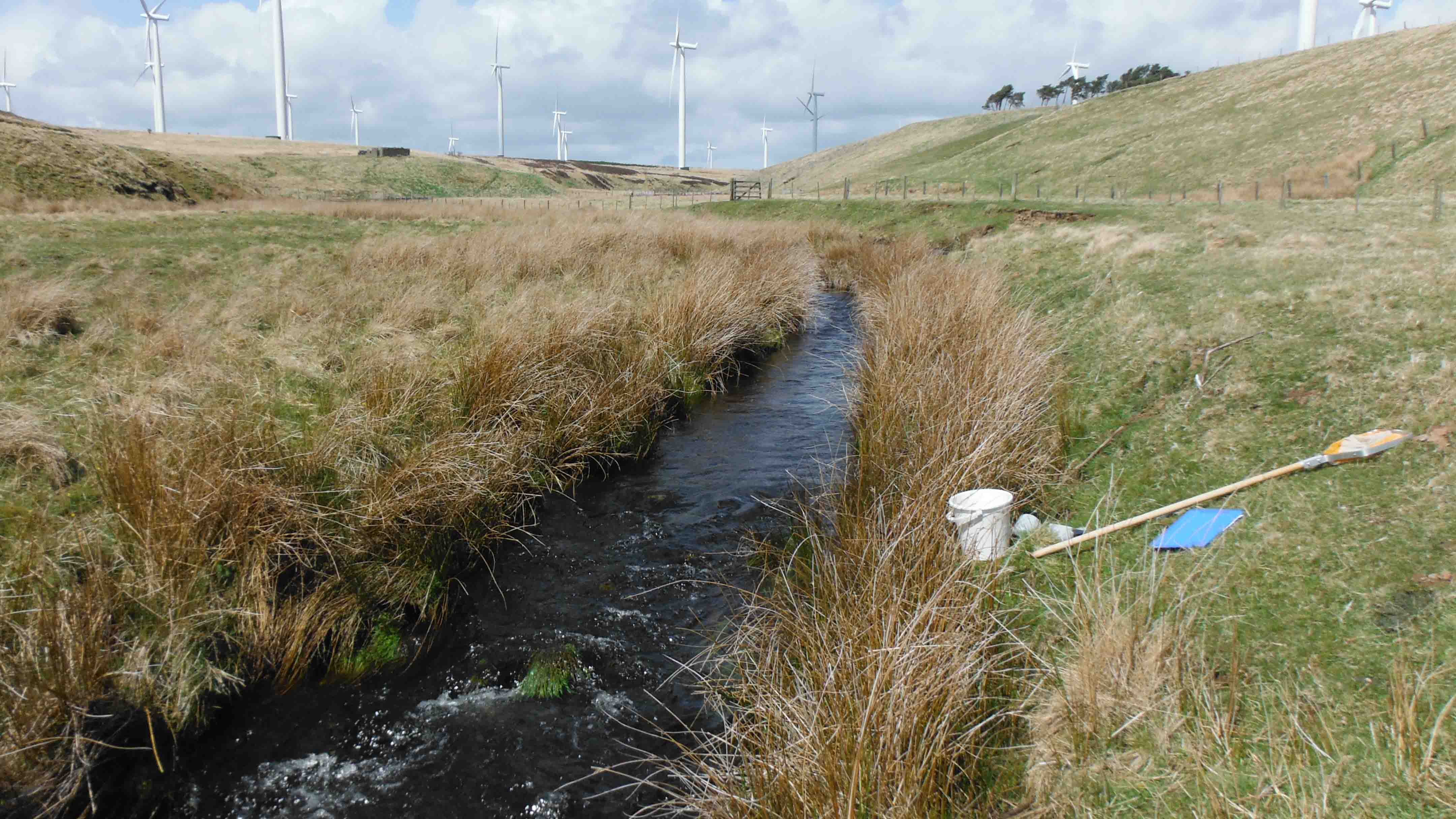 Crystal Rigg Survey